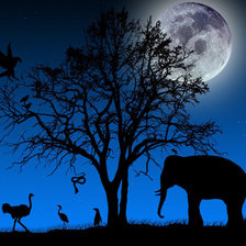 Схема вышивки «Собрание зверей»