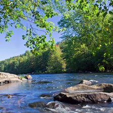 Схема вышивки «№123262»