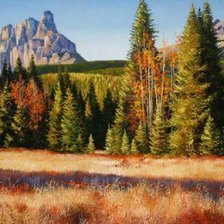 Схема вышивки «№123265»