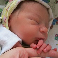 Схема вышивки «thyt»