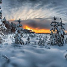 Зимний пейзаж