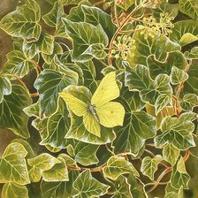 Схема вышивки «№123411»