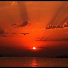 Схема вышивки «Кирпичный закат»