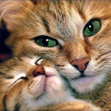 Схема вышивки «котЭ с ребенком»