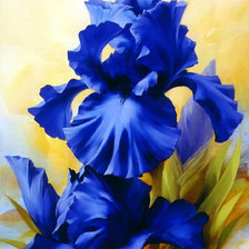 Схема вышивки «№123783»