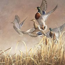 Схема вышивки «№123856»