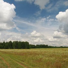 Схема вышивки «поле»