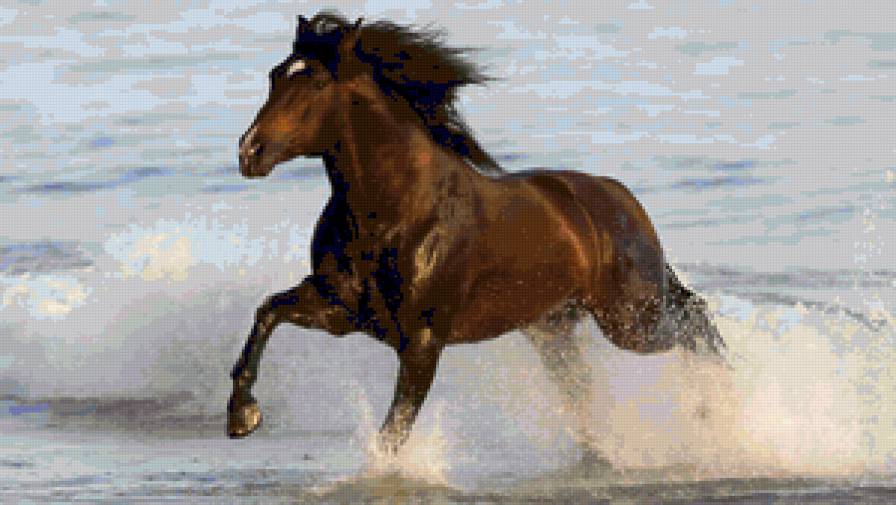 Серия "Лошади" - конь, животные - предпросмотр