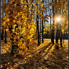 Схема вышивки «осень»