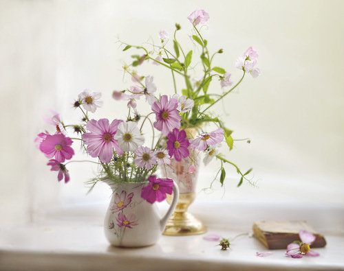 букет - ромашки, для кухни, букет - оригинал