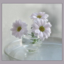 Схема вышивки «ромашки»