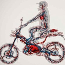 Схема вышивки «Байк»