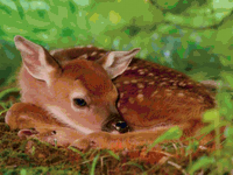 Олененок - природа, животные, олень - предпросмотр