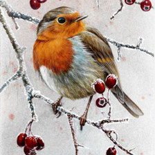 Схема вышивки «птица»