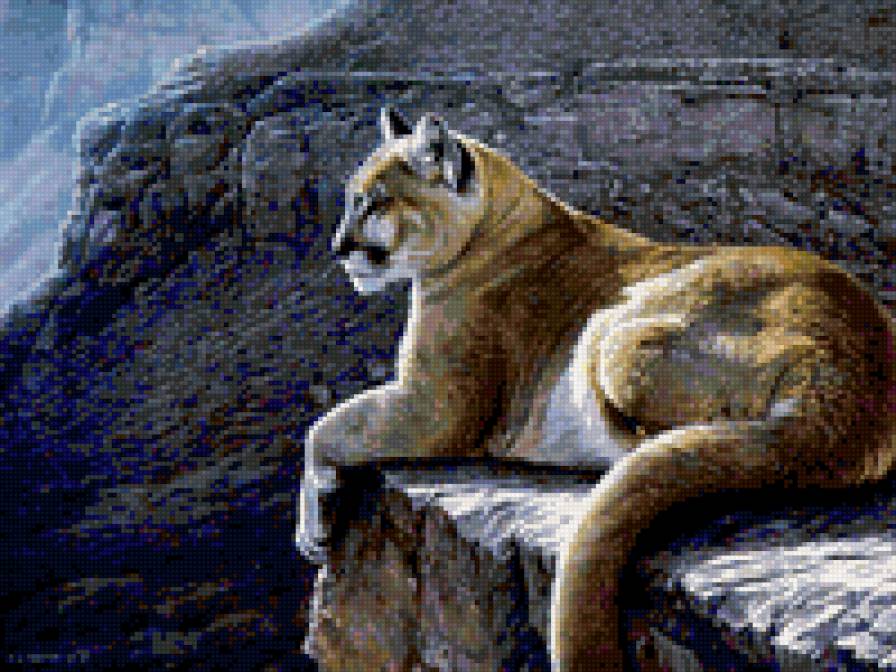 львица - предпросмотр