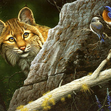 Схема вышивки «львица»