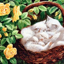 Схема вышивки «котята»