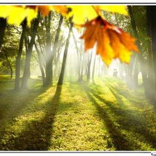 Очарование осени