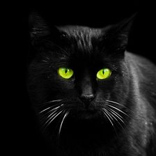 Схема вышивки «Чёрный кот»