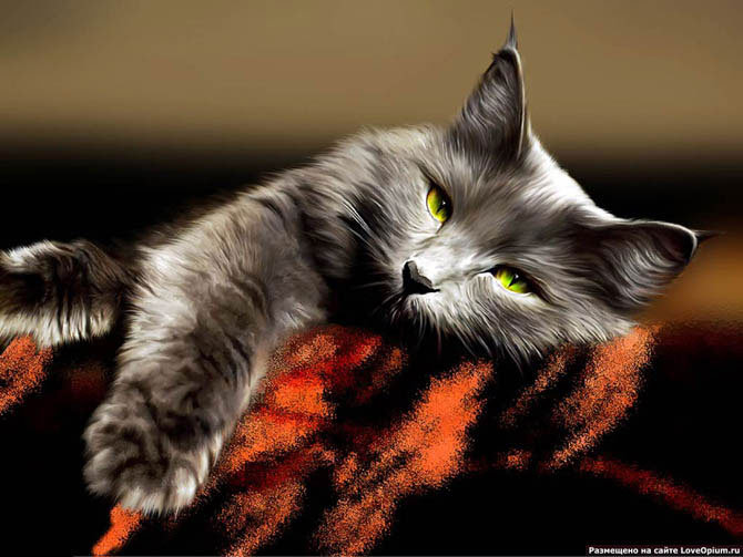 Дымчатый кот - кошки, животные - оригинал