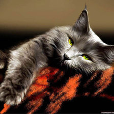 Дымчатый кот