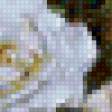 Предпросмотр схемы вышивки «Букет белых роз(меньше)» (№124598)