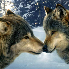 Схема вышивки «волк»