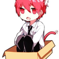 Схема вышивки «Акаши»