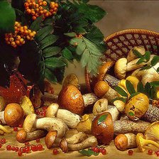 Схема вышивки «Натюрморт»