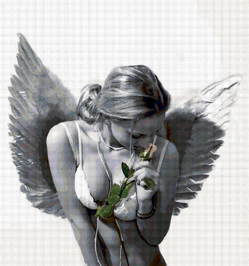 черное и белое - девушка, ангел - предпросмотр