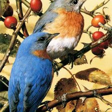 Схема вышивки «Птички на ветке»