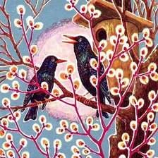 Схема вышивки «скворцы»