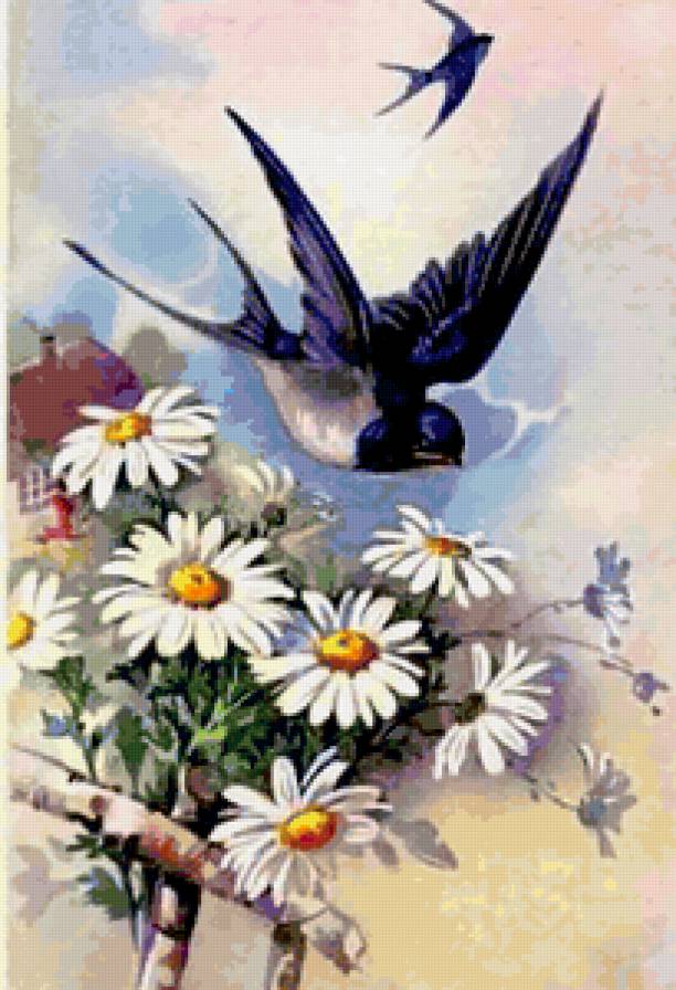 ласточки - цветы, ромашки, ласточки, птицы, букет - предпросмотр