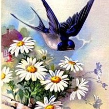 Схема вышивки «ласточки»