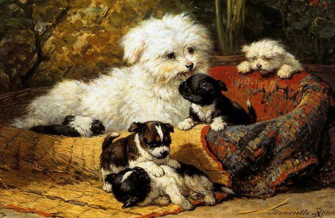 Семейство в корзинке - собаки, животные, пейзаж, щенки - оригинал