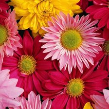 Схема вышивки «картина»