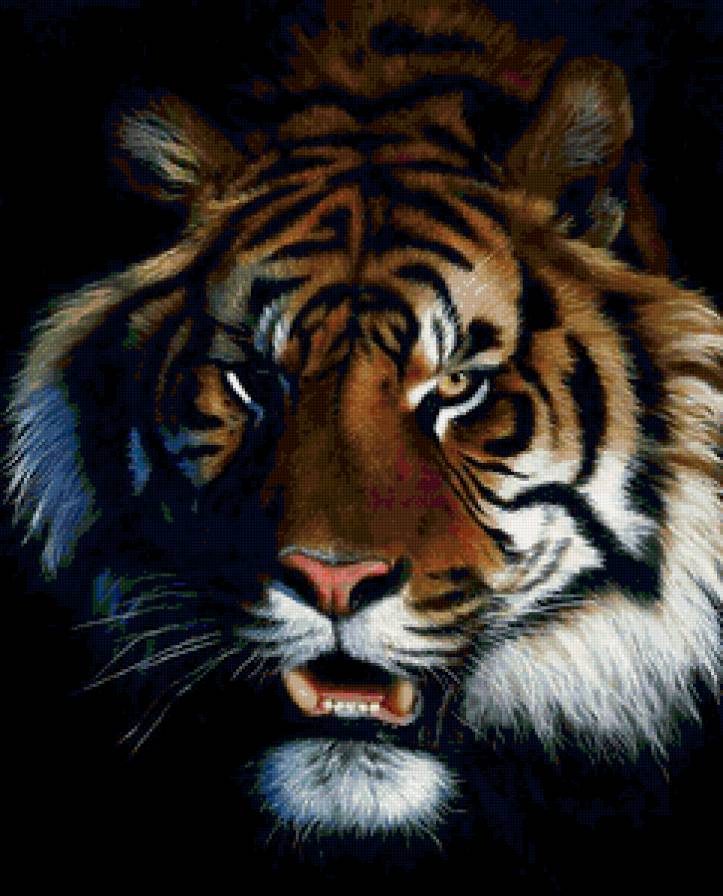 №125583 - предпросмотр