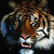 Схема вышивки «№125583»