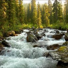 Схема вышивки «Ручей в лесу»