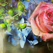 аромат розы