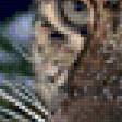 Предпросмотр схемы вышивки «Серия "Дикие кошки"» (№125783)