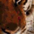 Предпросмотр схемы вышивки «Серия "Дикие кошки" Тигр зимой» (№125797)