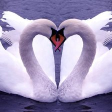 Схема вышивки «лебеди»