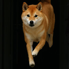 Схема вышивки «Cиба-ину»