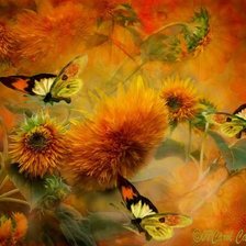 Схема вышивки «Бабочки»