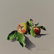 Схема вышивки «яблоки»