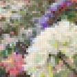Предпросмотр схемы вышивки «георгины» (№126126)