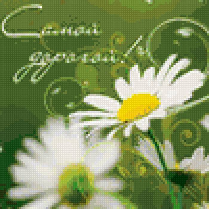 ромашка - ромашка - предпросмотр