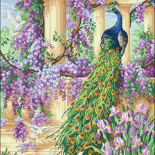 Схема вышивки «Павлин»