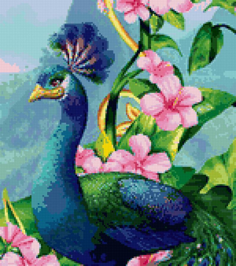 Павлин - природа, птицы - предпросмотр